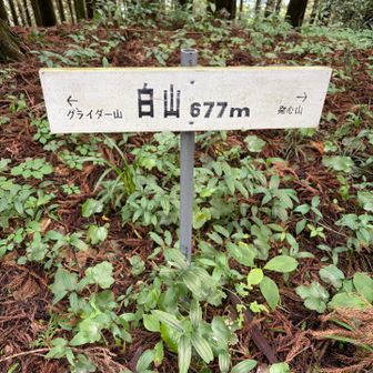 8座目　白山