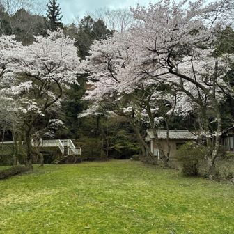 いい感じの広場
