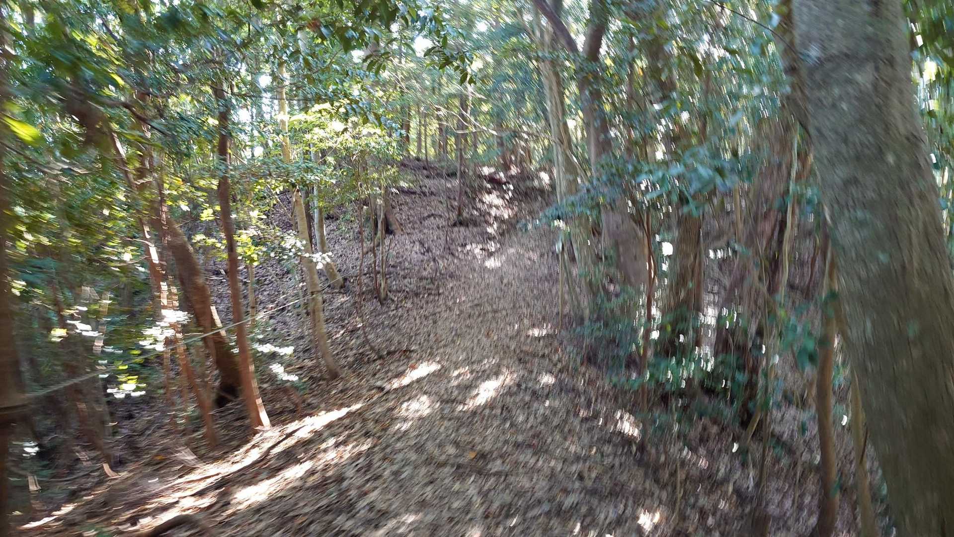 ベンチ-高房台-高房山 往復コースの写真