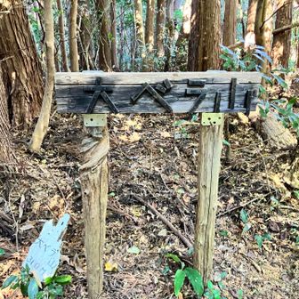 満観峰に向かう途中にあったピーク
本当に山頂❓🙃