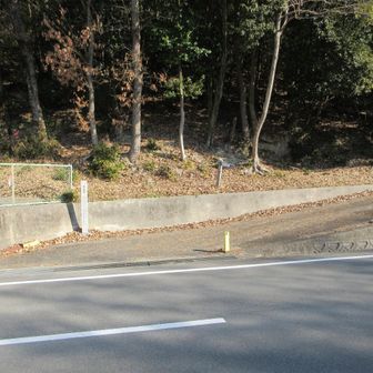 ここを上がって行きます