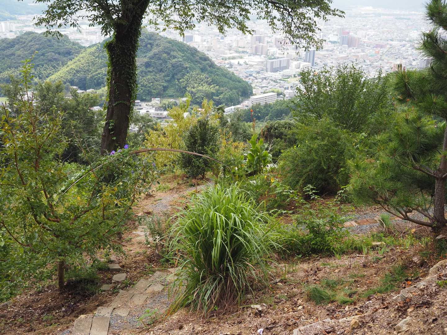 糸米砂防園経由で下山
ガッツリ道路なんで苦手だが
途中鴻ノ峰展望台天空カフェあり
喫茶は無いが山口市の街並み
丁度SLの汽笛が聞こえましたよ🎶