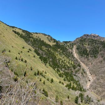 御手洗(みたらし)