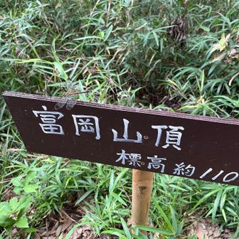 標高110mでも立派な山⛰️
こんな山もあっていい