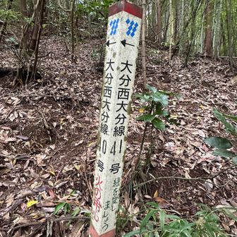 もしかして、先ほどの鉄塔が「40号」と「41号」…🫨