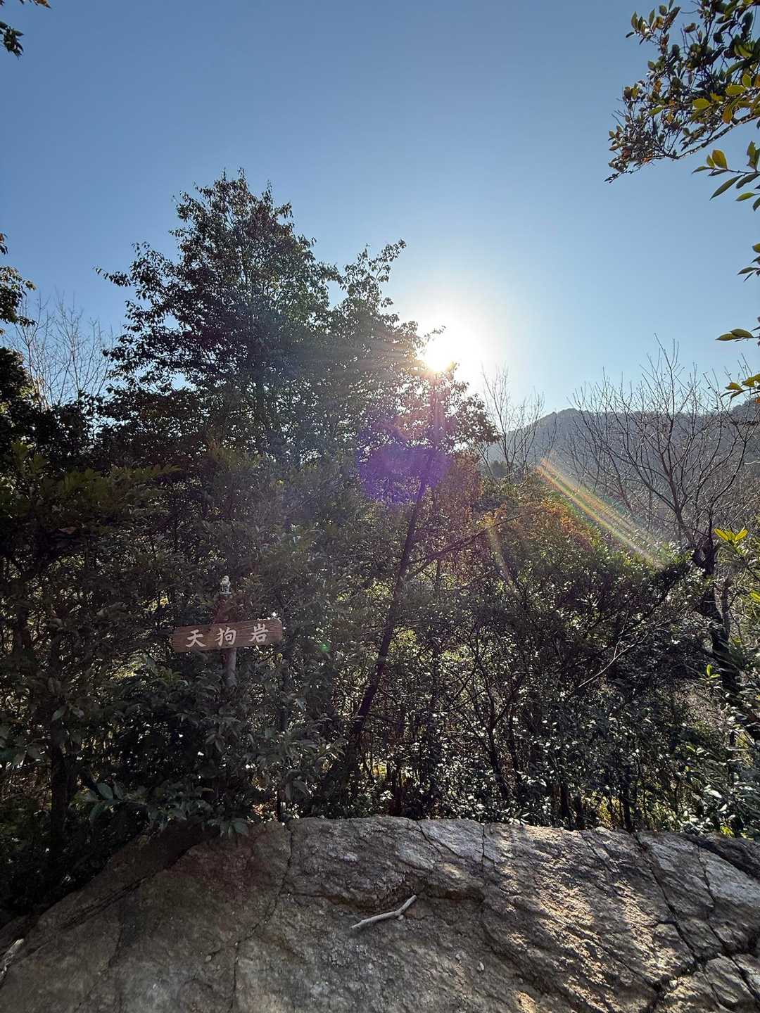 西茶臼山-茶臼山 周回コースの写真