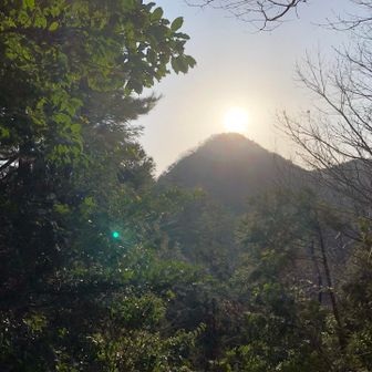 あとほんの少し早ければダイヤモンド尖だった😭