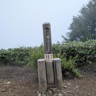 晴れてれば