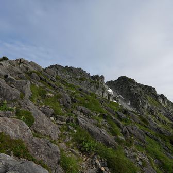 ようやく頂上が見えてきた。まだまだ遠いなあ。