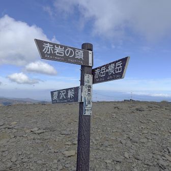 ホントの山頂は崩落の危険ありとのことで立入禁止に