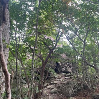 巨岩🪨が見えてきた