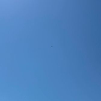 ずっとヘリが🚁飛んでる
