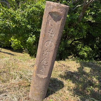 いものがんぎ
漢字にすると「芋の雁木」

中世の防衛遺構で連続して凸凹が並んでいるそうです

岩国のお酒に「雁木」ってありましたね
あれは美味しかったです😙🍶