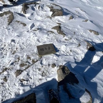 強風に飛ばされたのかな？🌀