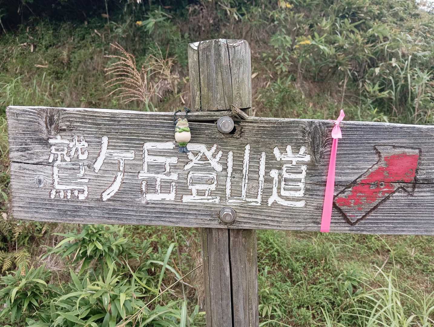 標識と同行者🐸