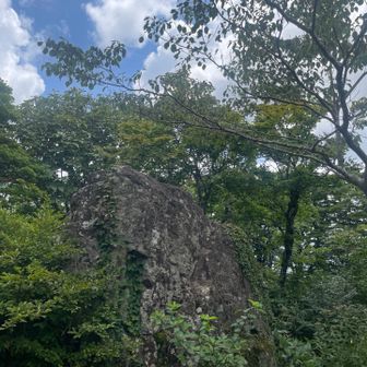 頂上の岩