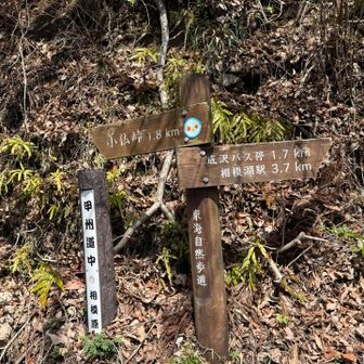 サクッと下山！