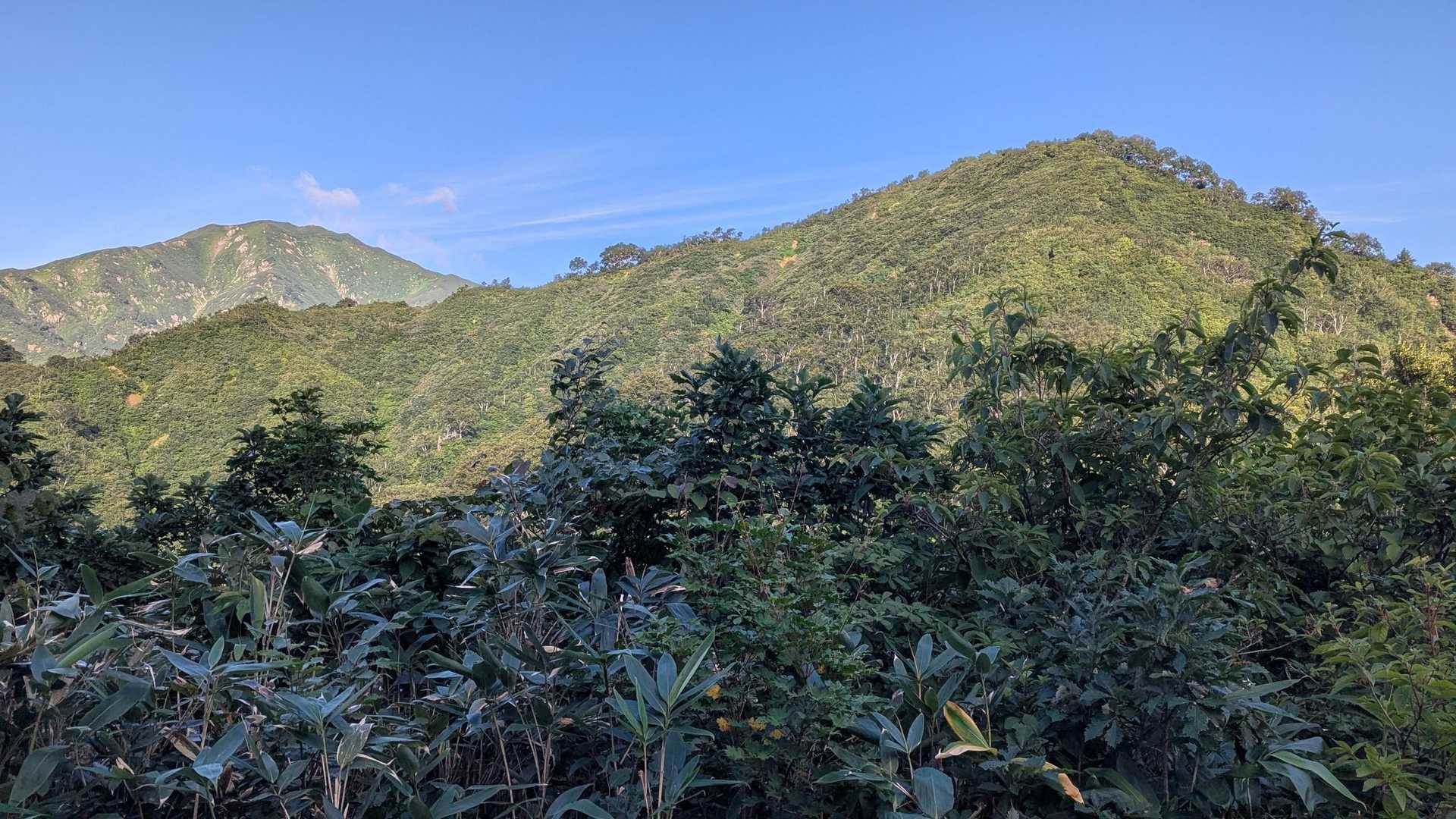 ニセ地蔵より本山と地蔵岳
