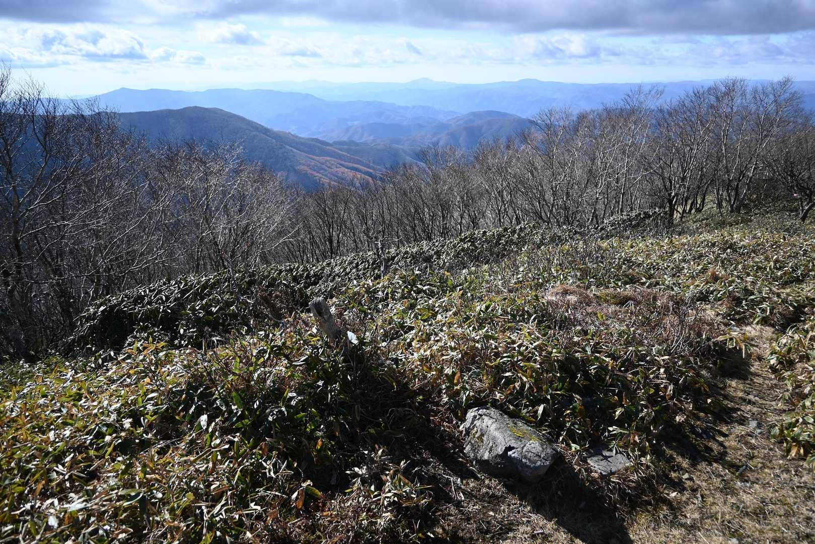 山頂に着きました