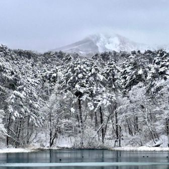 あ、磐梯山が僅かに見える。るり沼から
山頂、吹雪いてるよね💦