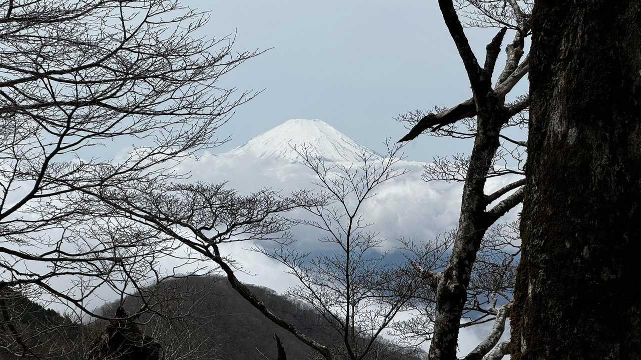 鍋割山・塔ノ岳・烏尾山縦走 の写真 28
