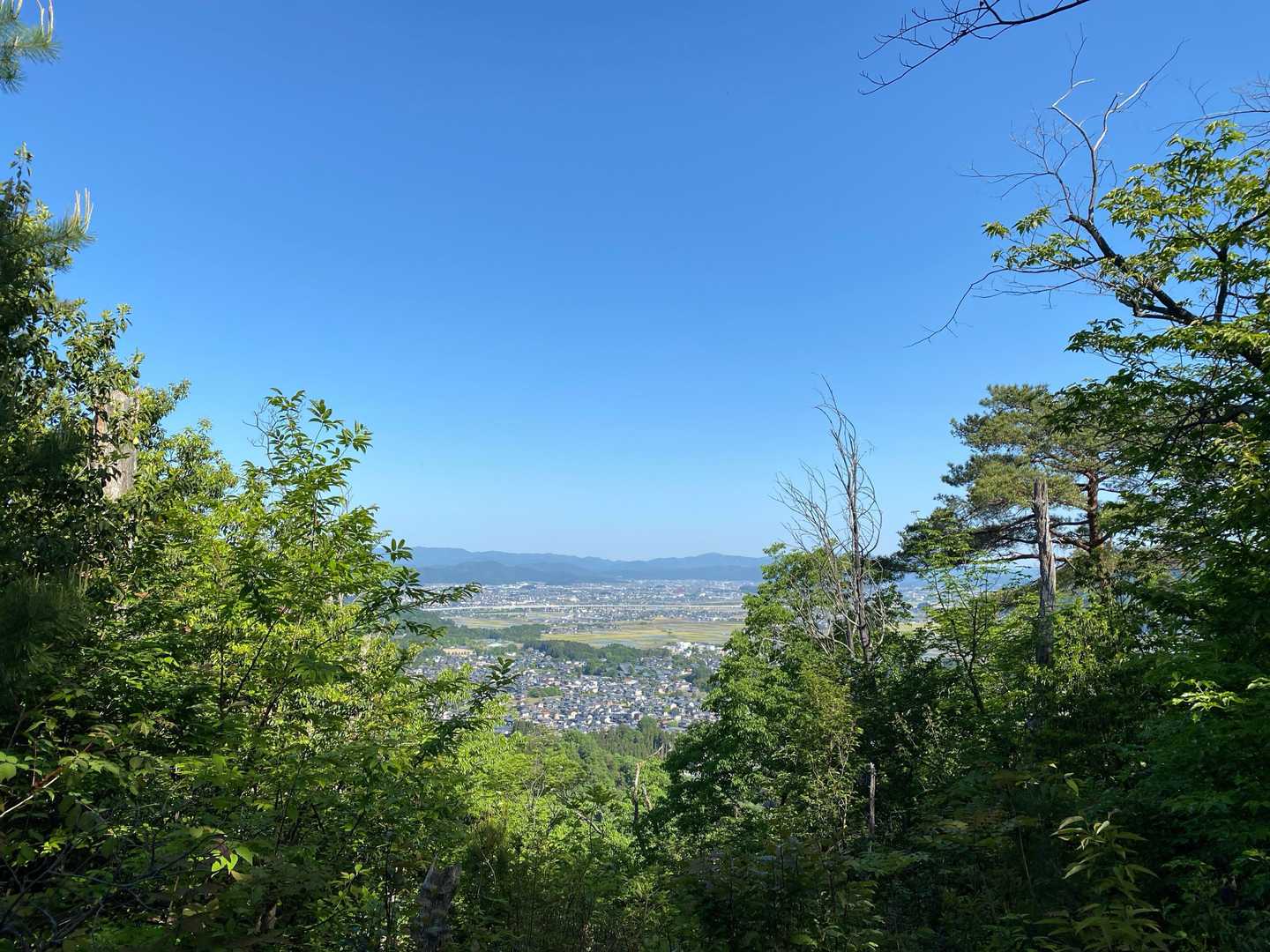 越前市方面