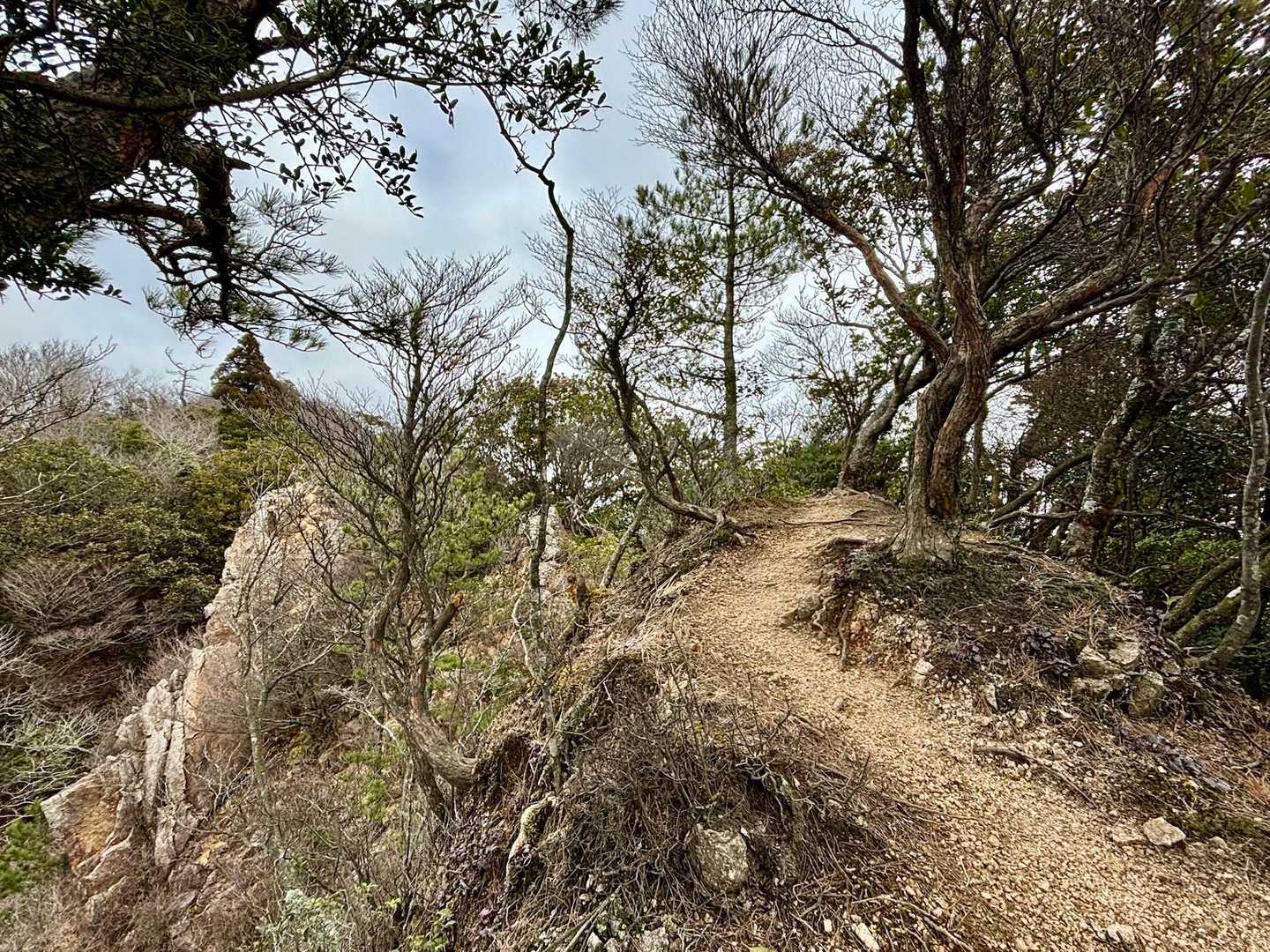 鈴鹿峠-三子山-四方草山 往復コースの写真
