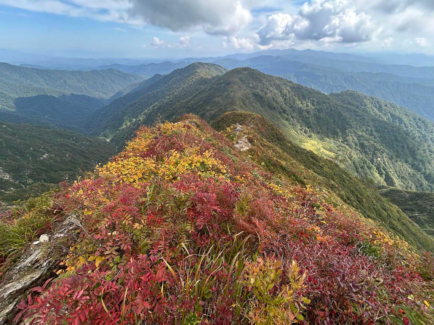 ここ辺りは綺麗に紅葉してました🍁