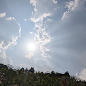 公園に戻ってきました
お疲れ様でした🙂‍↕️