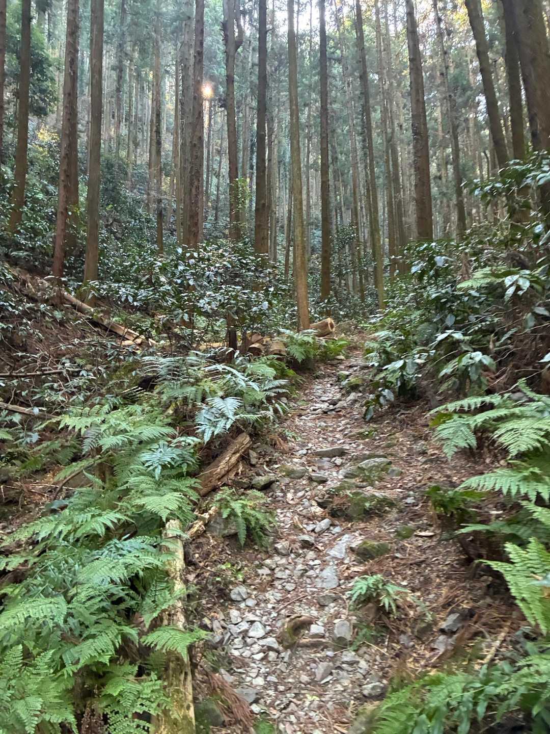 山は深いかも！