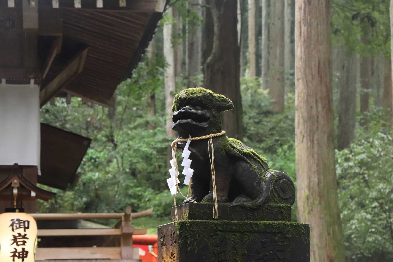 苔むした狛様