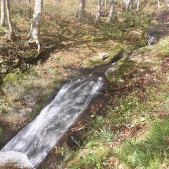 その裏手の小東岳登山道の方に行くと、気持ちの良い滑沢が。