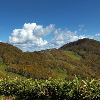 色付いた山頂、もう少しで白くなるんだね
今年の雪はどうなのかな…