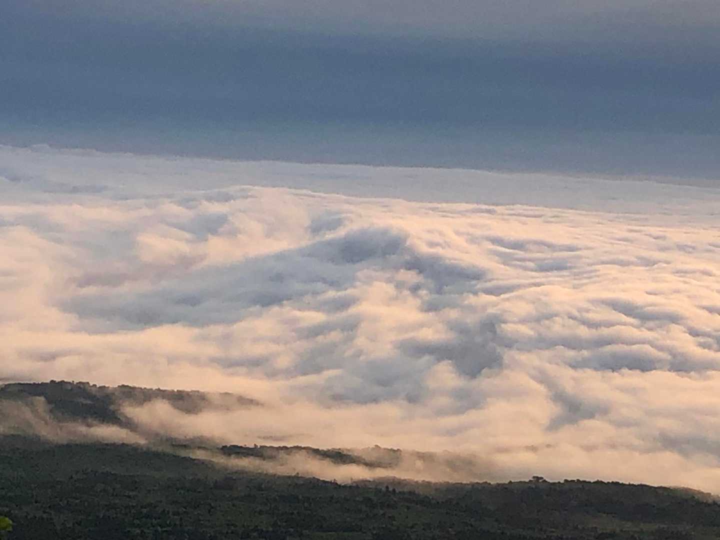 うひゃあぁぁ

雲がぴんく🩷　

写真に映らなかったのが残念
　　　（いつものiPhone8  no 加工）