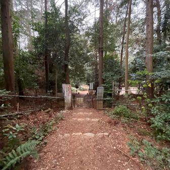 そして、常連KOBAさんに出会い
懲りないね、転けないようにと言われましたが、捻挫しないようにと自分で言っていた矢先、最後の最後にほぼフラットな場所で足首またグキリました🥲
それ、言わんこっちゃない(自問自答)😭