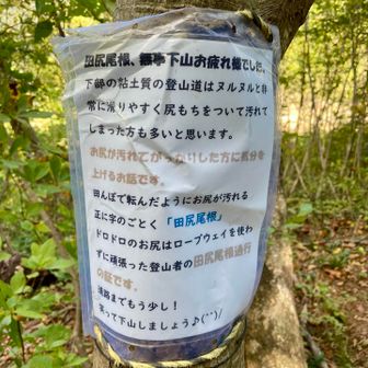下山口には面白いメモ🤣
すべりやすかったけど、尻餅はつかなかったよ👍