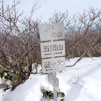 ブッシュもあまり気にならず埋まりもせず
ツボ足でＧｏ～