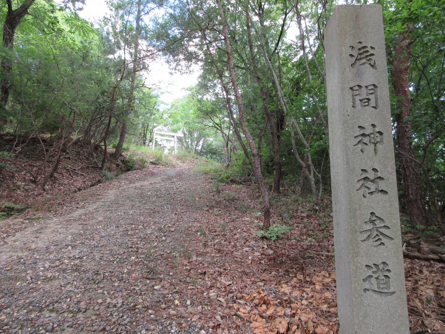 参道なのね