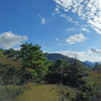 気持ちいいね、何度言ったかな