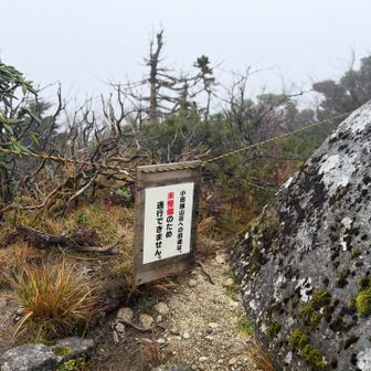 ここも周回出来なくなっているらしい。しばらく待っても変わらないので下山します。