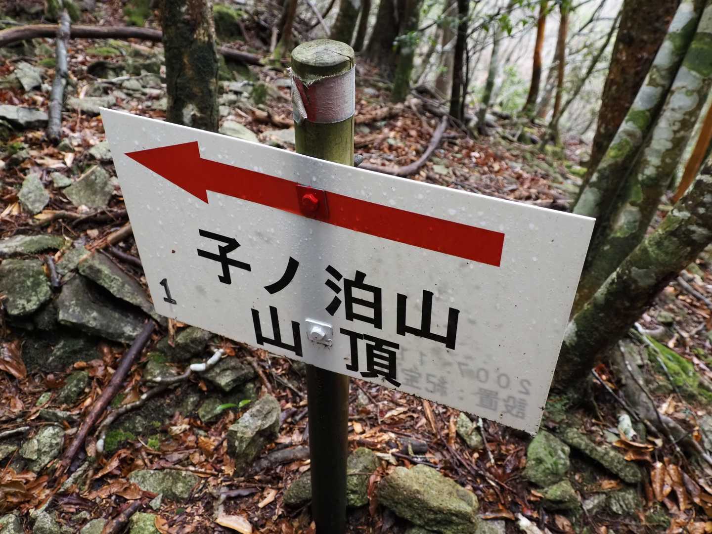 桐原側登山口-子ノ泊山 往復コースの写真