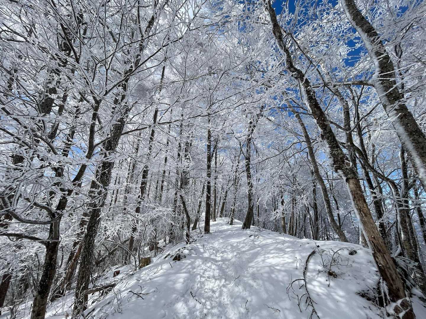むっひょー😍
❄️❄️❄️