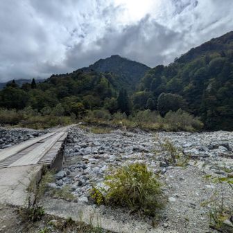 林道からクズバ山方面を振り返ります😊