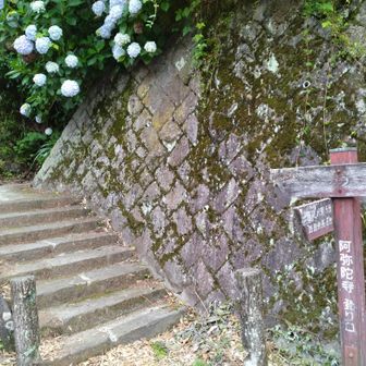 阿弥蛇口寺 登り口