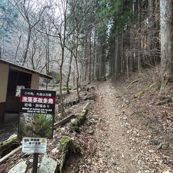 ここからちゃんとした登山道！