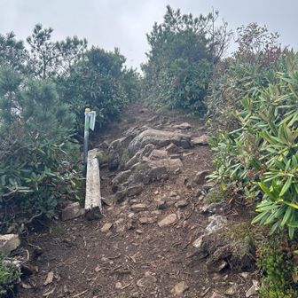 剣ヶ峰山頂は通り道みたいで狭目　ガスがなければ景色はキレイそうです