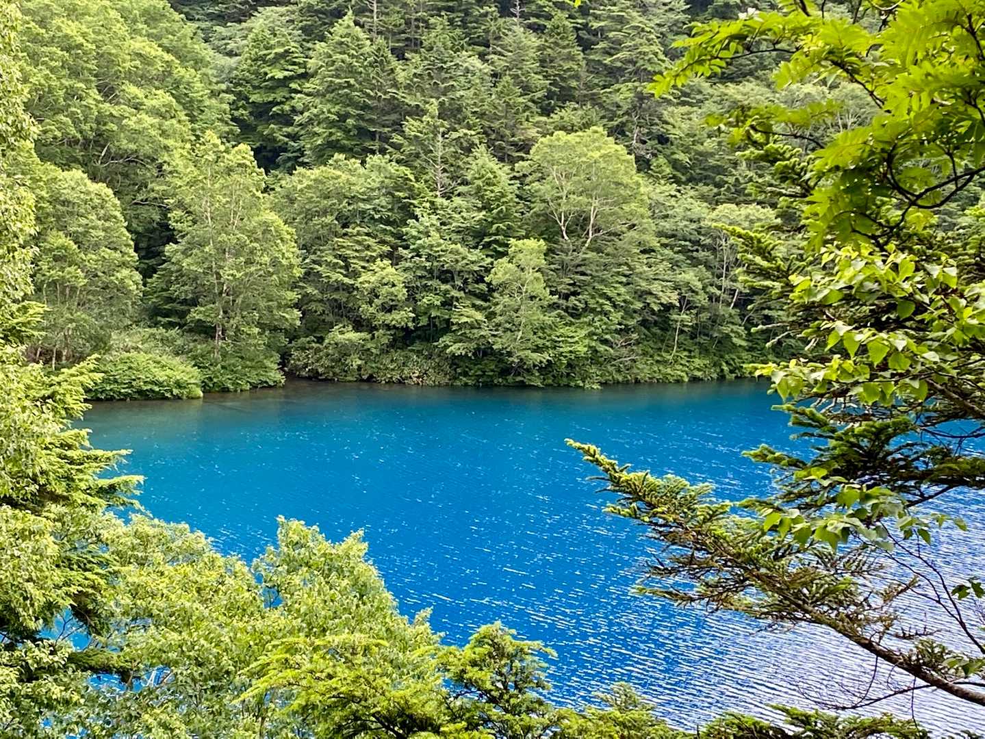グリーンとブルーが美しい💚💙💚💙