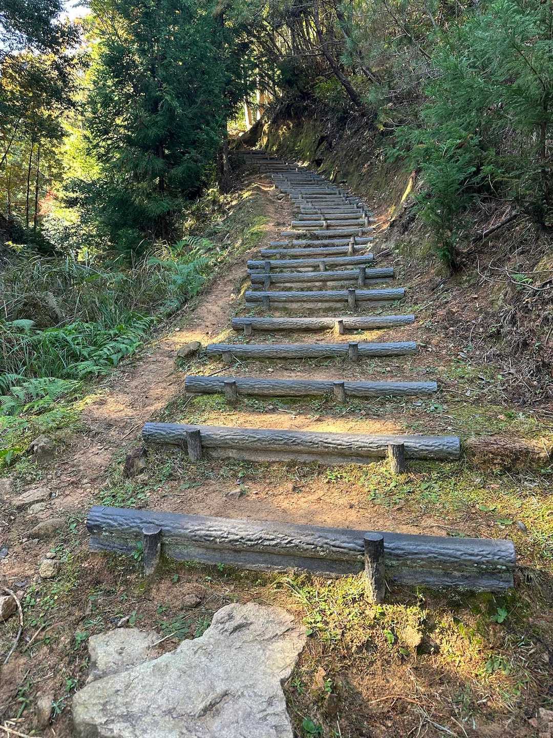 純粋な登山道になってる🪵
一般の観光客ならヒーコラ言うかも❓