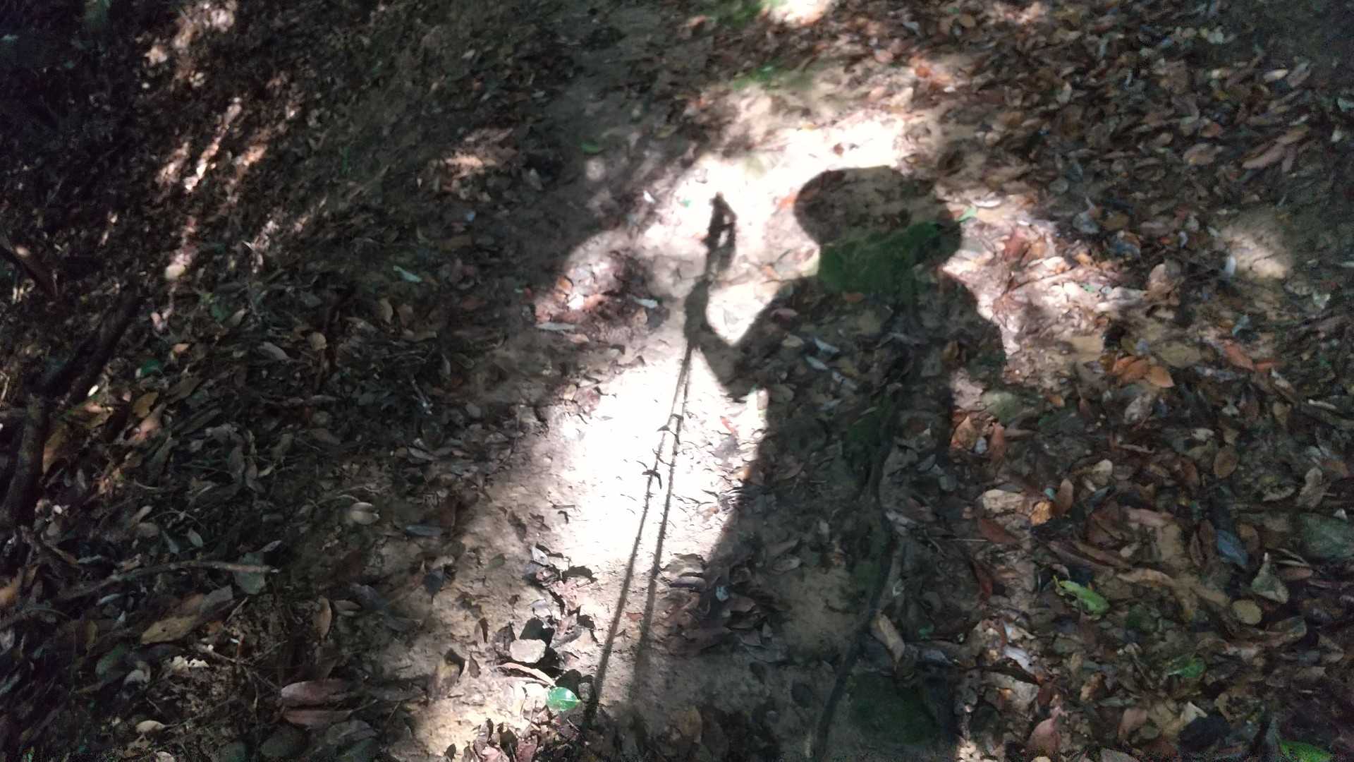 影👤
