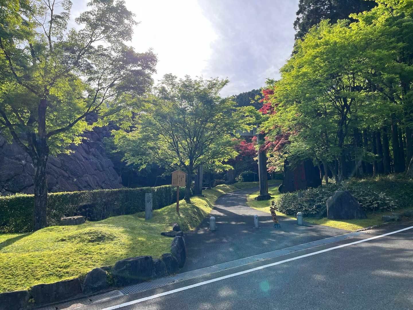 大権現　もみじの新緑が綺麗だ🌿